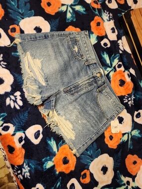 NWT Altr'd State Shorts